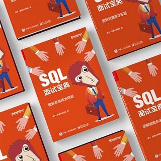 SQL面试宝典：图解数据库求职题（全彩）