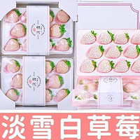 钱小二 淡雪草莓 1斤2盒单盒15粒礼盒装