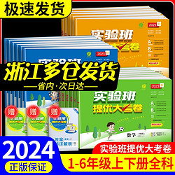 《2024版·实验班提优大考卷》（年级科目版本任选）