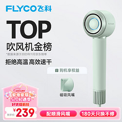 FLYCO 飞科 高速电吹风机送女友情人节礼物大功率速干恒温负离子护发