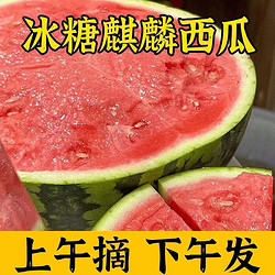 shui guo shu cai 水果蔬菜 麒麟西瓜 4-5斤