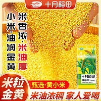百亿补贴：十月稻田 黄小米500g起1斤2斤5斤小米粥真空五谷杂粮米小黄米油多