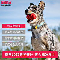 KONG 狗狗玩具益智耐咬橡胶葫芦大型犬磨牙解闷丰容藏食宠物漏食球