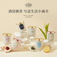 LAVONS 朗蓬恩室内固体香膏厕所卫生间空气清新剂衣柜香薰留香正品