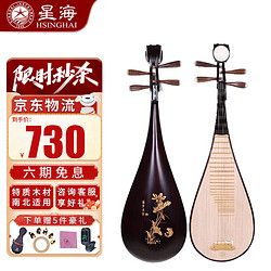 Xinghai 星海 琵琶民族弹拨乐器