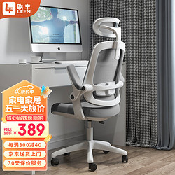LIANFENG 联丰 W-223 人体工学电脑椅 灰色