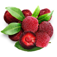 桃花会 冰杨梅40包（买30包送10包） 顺丰包邮