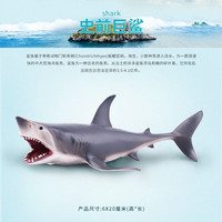 wanmole 玩模乐 仿真动物模型 仿真海洋动物模型 北极熊海龟企鹅蓝鲸抹香鲸玩具