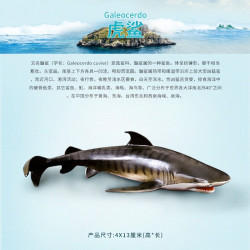 wanmole 玩模乐 仿真动物模型 仿真海洋动物模型 北极熊海龟企鹅蓝鲸抹香鲸玩具