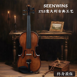 SEENWINS/圣维斯 SW100手工实木小提琴初学者儿童考级入门成人初学