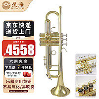 Xinghai 星海 小号 降B调铜管西洋乐器 初学入门专业院校考级演奏乐器 XT-310