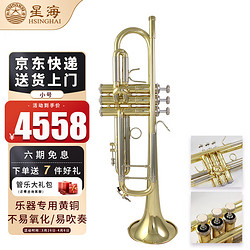 Xinghai 星海 小号 降B调铜管西洋乐器 初学入门专业院校考级演奏乐器 XT-310