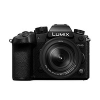 Panasonic 松下 LUMIX GH6 M4/3画幅 微单相机 黑色 12-60mm F2.8 ASPH 变焦镜头 单头套机
