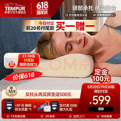 TEMPUR 泰普尔 丹麦进口记忆枕慢回弹枕头感温枕颈椎枕舒适睡眠枕 米黄感温枕