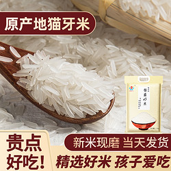 杨盛 正宗猫牙米23年长粒香米真空包装锁鲜大米杨盛优质香米现磨米好吃