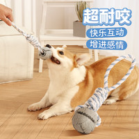 华元宠具(hoopet)狗狗玩具球互动耐咬磨牙宠物自嗨解闷柯基消耗体力的神器