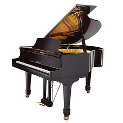 Xinghai 星海 鋼琴 G57三角鋼琴德國進口配件 專業演奏演出高端琴