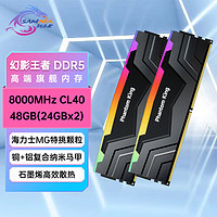 SK hynix 海力士 新乐士（SAMNIX）台式机内存条 48GB(24GBx2)DDR5 8000Mhz C40 黑灰 RGB灯条 海力士M-die 幻影王者电竞游戏