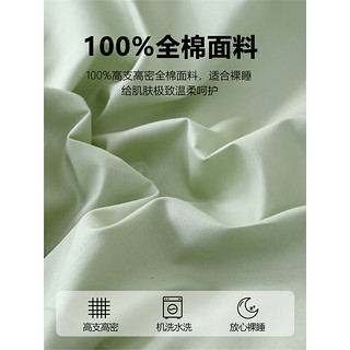 南极人简约纯色100全棉床单单件夏季纯棉榻榻米家用加厚炕单双人套件三 南汐-春日青【高密全棉面料】 200*230cm床单【适1.2/1.35m床】