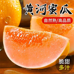 正宗新鮮頭茬黃河蜜瓜 9斤裝3-5個瓜