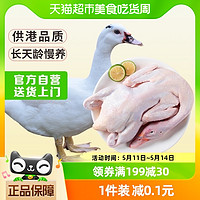 88VIP：温氏食品 温氏天露番鸭鸭肉2kg土鸭子肉农家老家鸭飞鸭广东番鸭生鲜食品