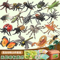 玛奇乐(MECHILE)仿真野生动物模型玩具恐龙海洋昆虫牧场认知启蒙儿童 昆虫18件套(送游戏垫+卡片)