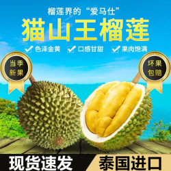 鑫汇利 猫山王榴莲4斤装/保4房