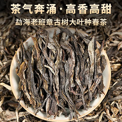 勐洛小寨 2024年老班章普洱茶生茶散茶新茶古树茶春茶云南勐海生普茶叶 老班章古树250克*1袋