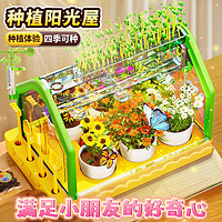 NUKied 纽奇 阳光种植阳光房儿童科学小实验套装手工植物生长diy材料6玩具
