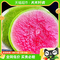 88VIP：美植盒子 丛林千味水果青萝卜心里美3斤/5斤山东寿光潍坊直发生吃
