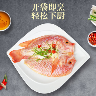 品珍鲜活 生鲜鱼类三去净膛红星斑900g两条装450g/条 彩虹鲷红罗非鱼 净重450g/条(2条装)