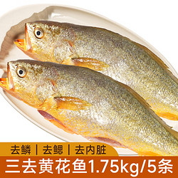 黄小渔 三去黄花鱼1.75kg/5条大黄鱼生鲜水产深海鱼类源头直发