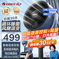 GREE 格力 直流变频四季净化扇空气循环扇家用落地扇电风扇轻音桌面小风扇 FXDZ-20X62Bfg3