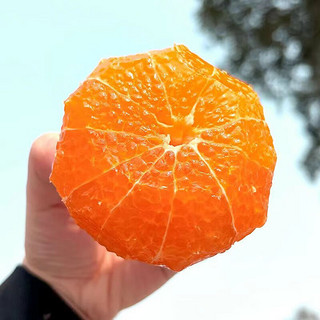 黄花地奉节高山伦晚脐橙当季新鲜水果宝宝水果 净重 9斤 30个内 精选伦晚橙