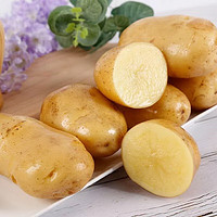 88VIP：others 其他 鲁韵忆乡山东黄心土豆2.5kg新鲜土豆马铃薯产地直发