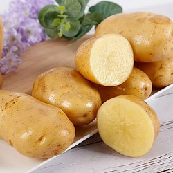 others 其他 魯韻憶鄉山東黃心土豆2.5kg新鮮土豆馬鈴薯產地直發