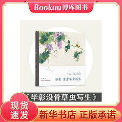 Beijing Science and Technology Publishing 北京科学技术出版社 毕彰没骨草虫写生/中国美术学院名师画谱