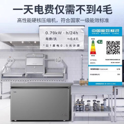 haier海尔冰柜大容量商用冷柜300429519升全冷冻柜减霜冷柜官方旗舰