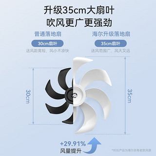 海尔（Haier）电风扇家用七叶摇头大风量电扇轻音节能桌面小风扇台式柔风遥控定时落地扇  HFS-Y3546B