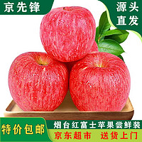 京东自营 京先锋 烟台红富士苹果 2.5kg 一级果 单果200g以上 新鲜水果源头直发