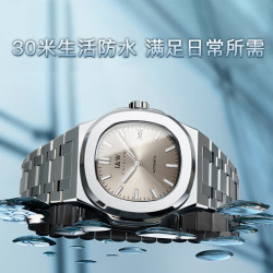 iwcarnivalhwguoji瑞士iw手表男全自动进口机芯夜光防水品牌手表银灰