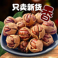 香菱林 正宗临安山核桃500g