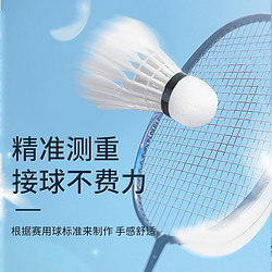 LI-NING 李宁 羽毛球6只装