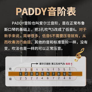 BoogieMAN【园园同款】龙年纪念款口琴paddy十孔布鲁斯成人专业演奏初学 10孔 PADDY C调（白色）