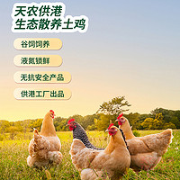 88VIP：天农 清远童子鸡600g散养90天土鸡走地鸡小母鸡肉生鲜供港品质整鸡
