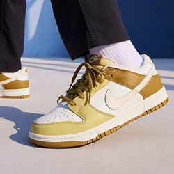 NIKE 耐克 DUNK LOW RETRO 复古耐磨轻盈 男子板鞋