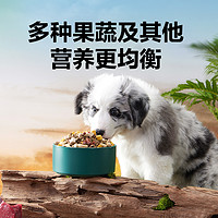 YANXUAN 网易严选 冻干六拼犬粮2kg