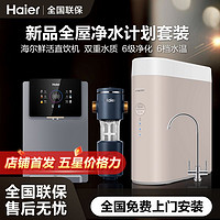 百亿补贴：Haier 海尔 净水器家用直饮机双出水反渗透纯水加热一体壁挂式净饮套装