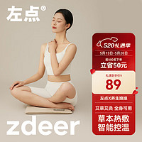 zdeer 左点 养生娘娘艾草红花玫瑰热敷坐垫电加热全身通用办公室艾灸坐垫 520