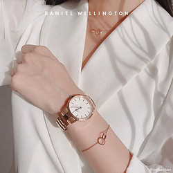 Daniel Wellington 丹尼尔惠灵顿 dw项链手链套装组合女ins风简约小双环小众锁骨链子官方正品礼物